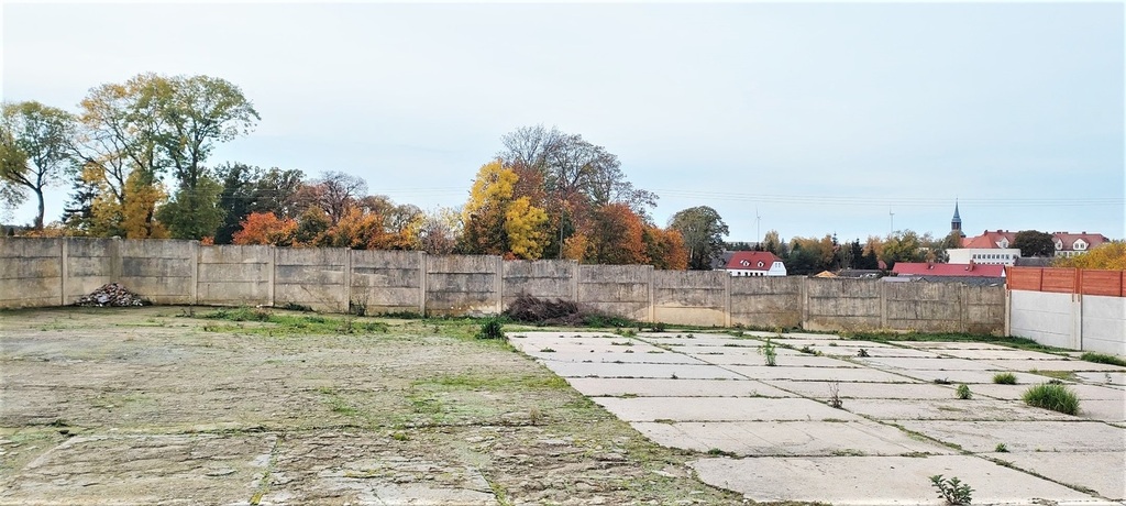 Dom na sprzedaż Pełczyce 269 m2 | Arka Nieruchomości