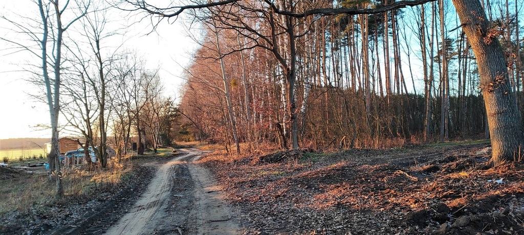 Działka na sprzedaż Szczecin, Wielgowo 1 959 m2 | Arka Nieruchomości