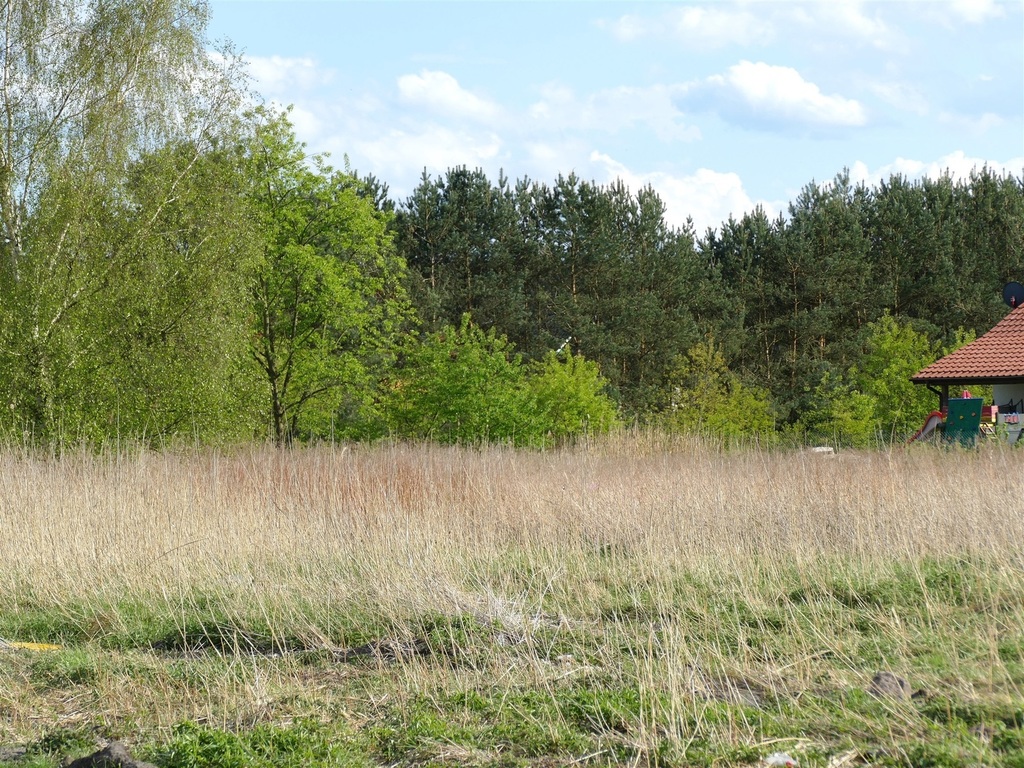 Działka na sprzedaż Szczecin, Wielgowo 3 342 m2 | Arka Nieruchomości