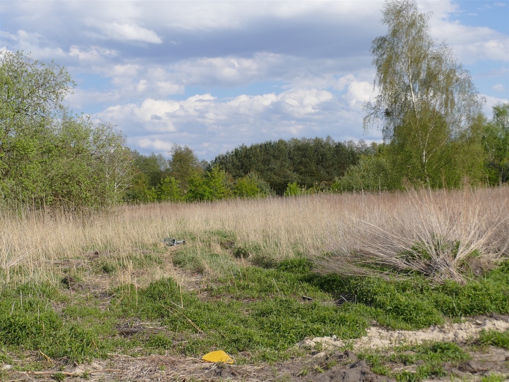 Działka na sprzedaż Szczecin, Wielgowo 3 342 m2 | Arka Nieruchomości