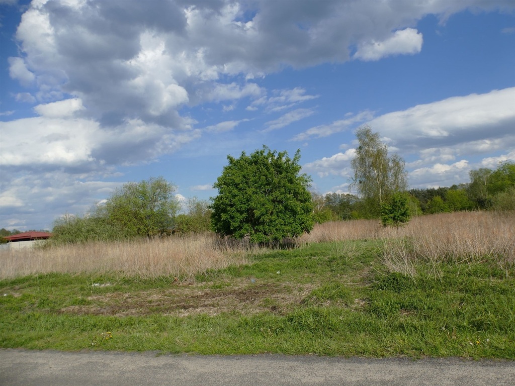 Działka na sprzedaż Szczecin, Wielgowo 3 342 m2 | Arka Nieruchomości