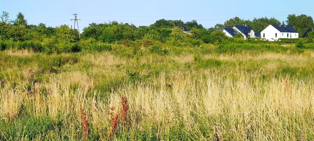 Działka na sprzedaż Szczecin, Wielgowo 5 891 m2 | Arka Nieruchomości