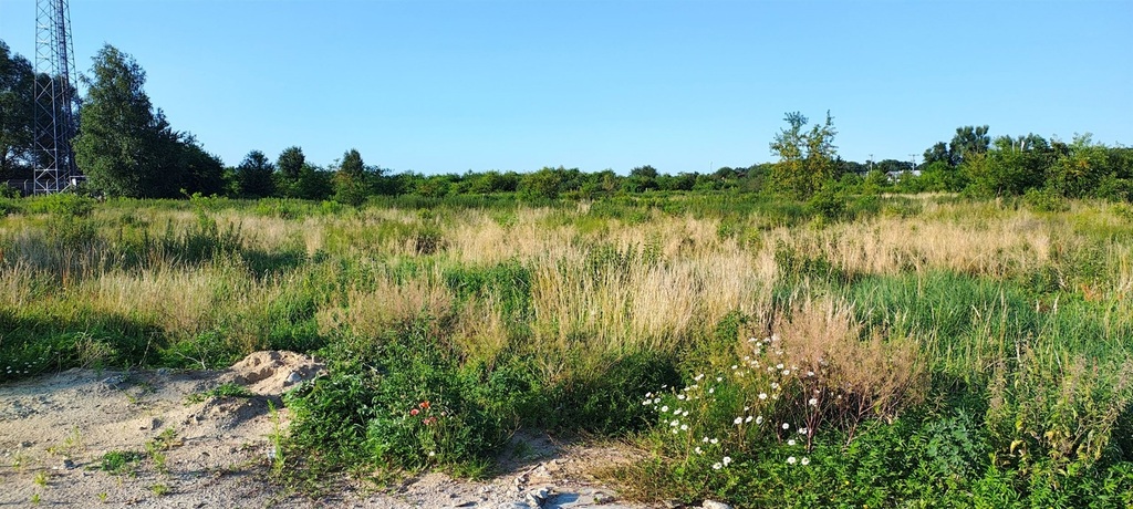 Działka na sprzedaż Szczecin, Wielgowo 5 891 m2 | Arka Nieruchomości