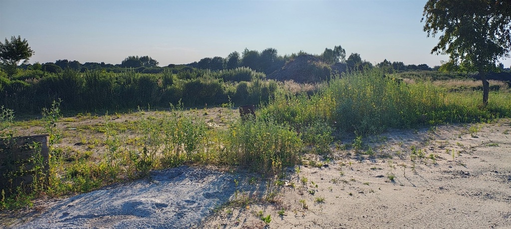 Działka na sprzedaż Szczecin, Wielgowo 5 891 m2 | Arka Nieruchomości