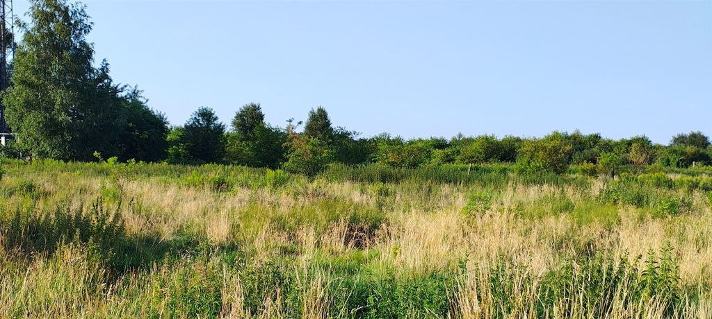 Działka na sprzedaż Szczecin, Wielgowo 5 891 m2 | Arka Nieruchomości