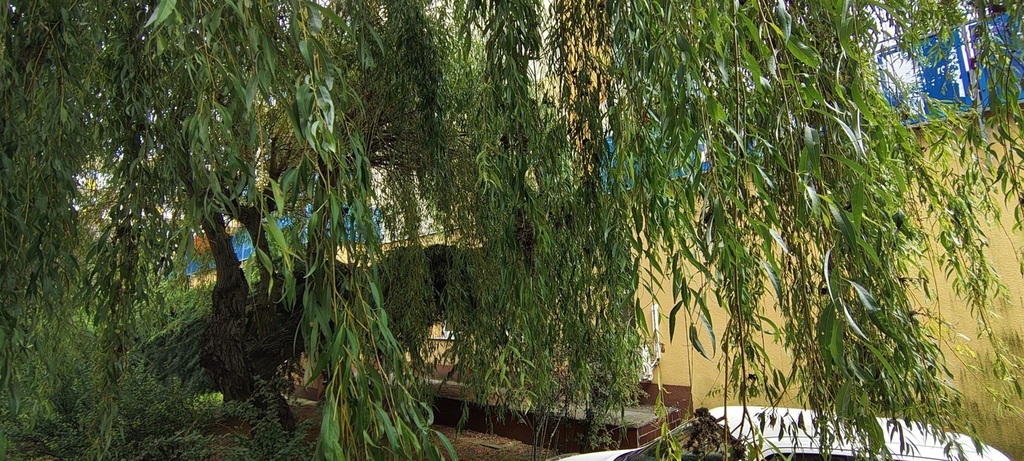 Mieszkanie na sprzedaż Szczecin, os. Słoneczne 56 m2 | Arka Nieruchomości