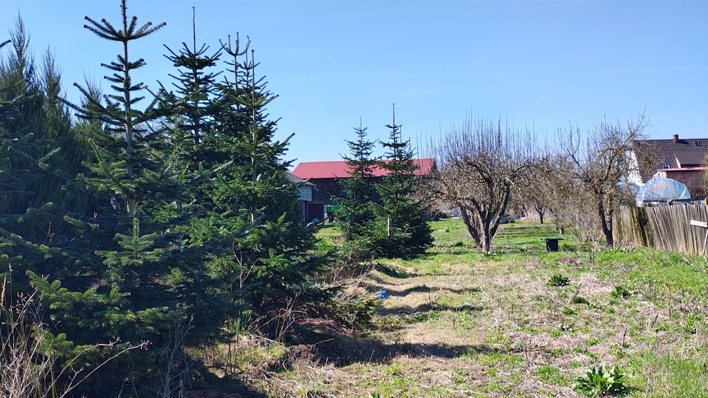 Dom na sprzedaż Kłodzino 96 m2 | Arka Nieruchomości