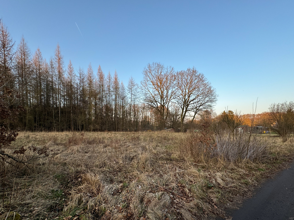 Działka na sprzedaż Błotno, Błotny Młyn 903 m2 | Arka Nieruchomości