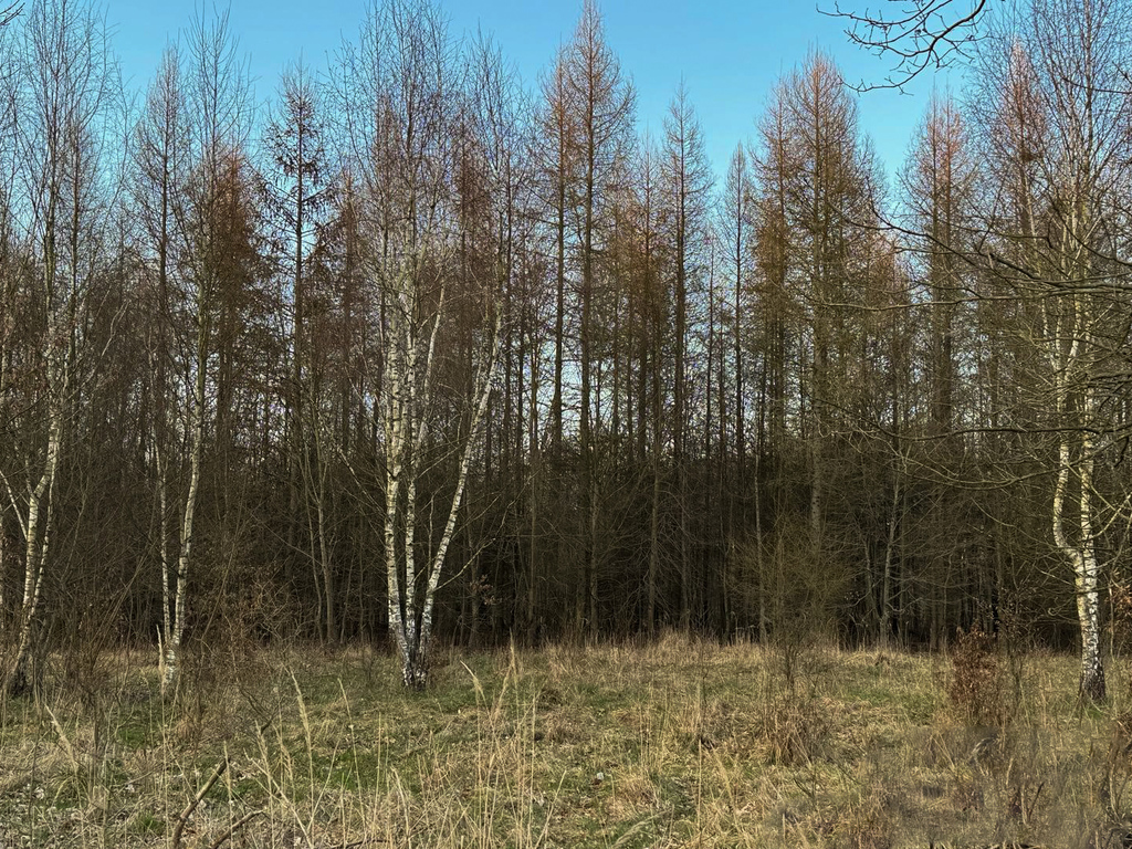 Działka na sprzedaż Błotno, Błotny Młyn 903 m2 | Arka Nieruchomości