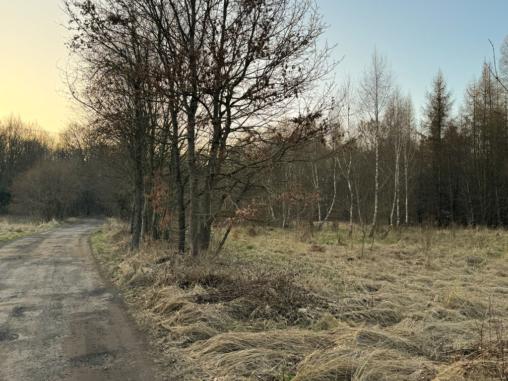 Działka na sprzedaż Błotno, Błotny Młyn 903 m2 | Arka Nieruchomości