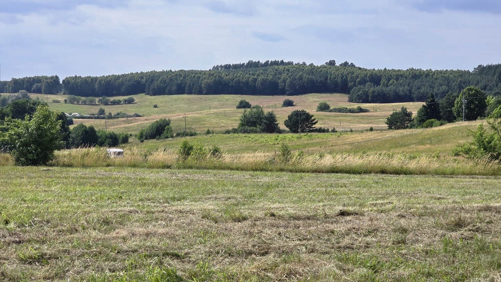 Działka na sprzedaż Lubieszewo 2 054 m2 | Arka Nieruchomości