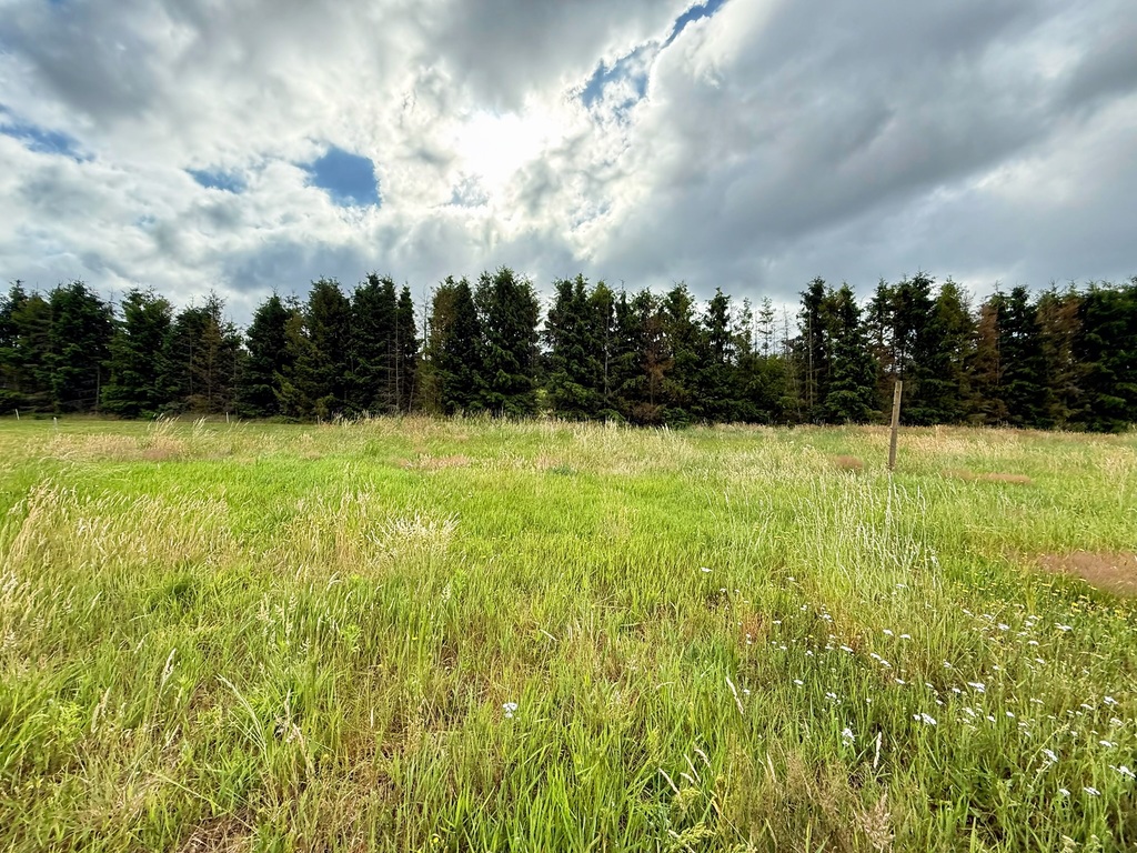 Działka na sprzedaż Żdżary 1 067 m2 | Arka Nieruchomości