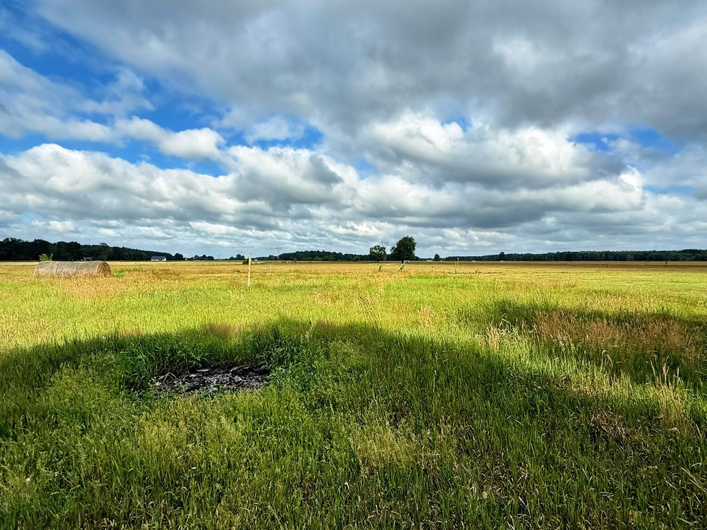 Działka na sprzedaż Żdżary 1 067 m2 | Arka Nieruchomości