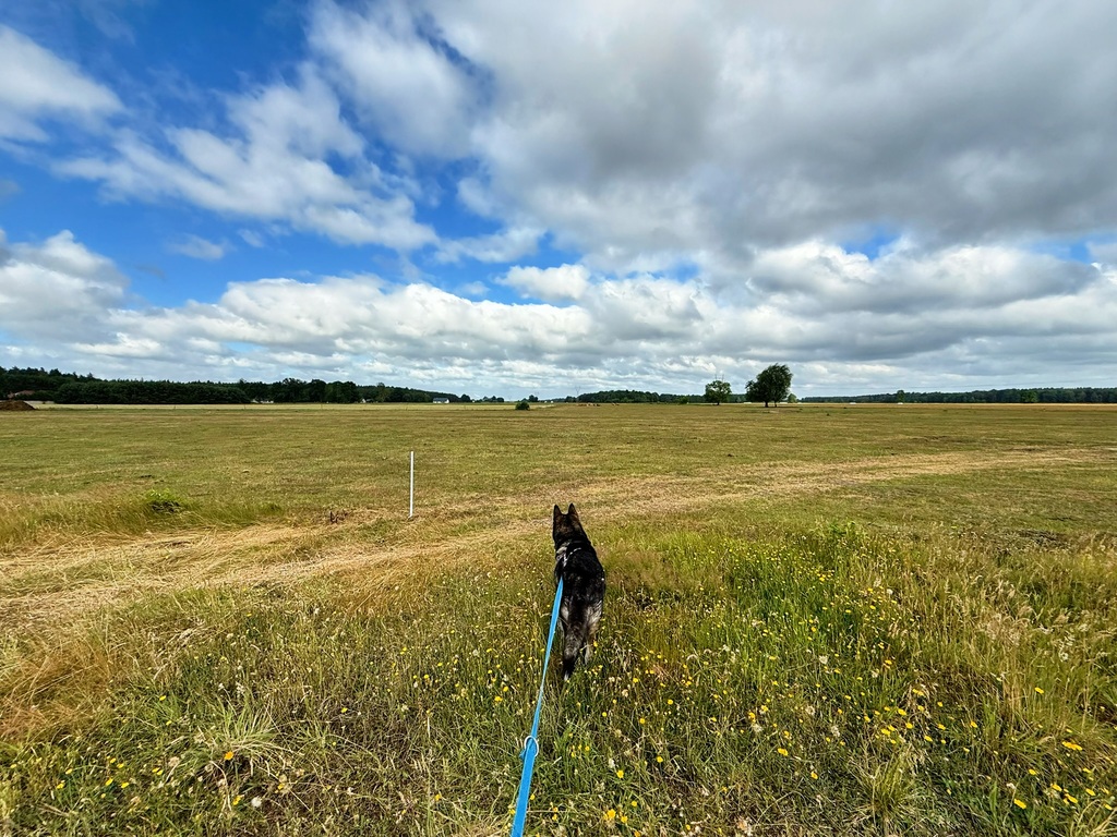 Działka na sprzedaż Żdżary 1 067 m2 | Arka Nieruchomości