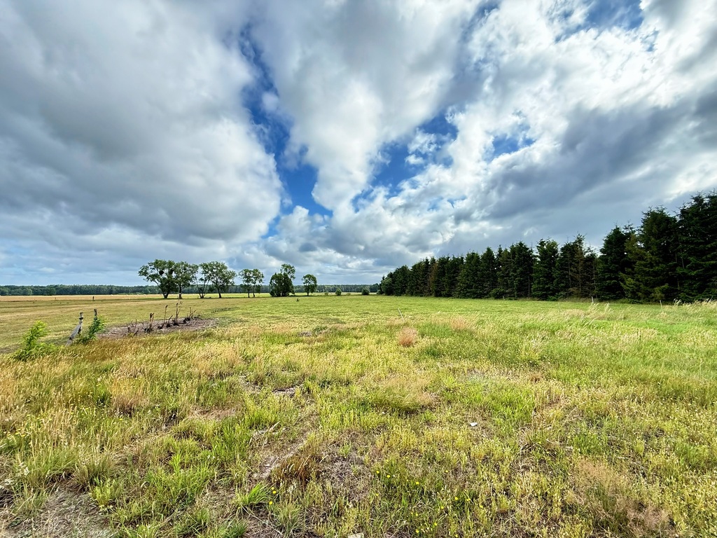 Działka na sprzedaż Żdżary 1 067 m2 | Arka Nieruchomości