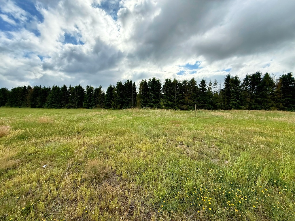 Działka na sprzedaż Żdżary 1 067 m2 | Arka Nieruchomości