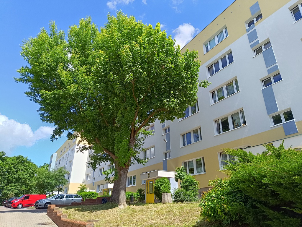 Mieszkanie na sprzedaż Gryfino 50 m2 | Arka Nieruchomości