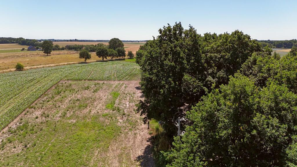 Działka na sprzedaż Radzanek 1 159 m2 | Arka Nieruchomości