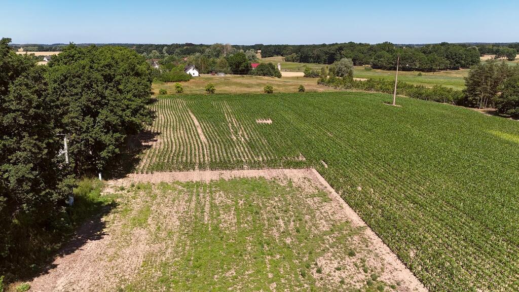 Działka na sprzedaż Radzanek 1 159 m2 | Arka Nieruchomości