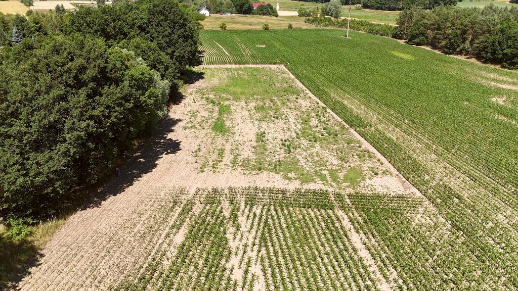 Działka na sprzedaż Radzanek 1 159 m2 | Arka Nieruchomości