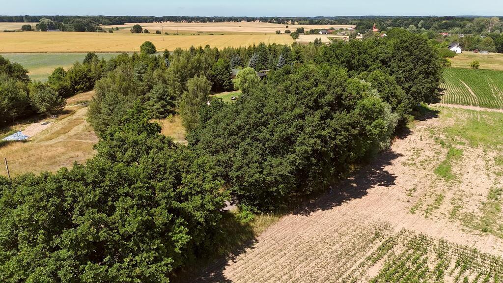 Działka na sprzedaż Radzanek 1 159 m2 | Arka Nieruchomości