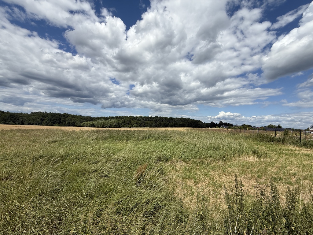 Działka na sprzedaż Przęsocin 1 700 m2 | Arka Nieruchomości