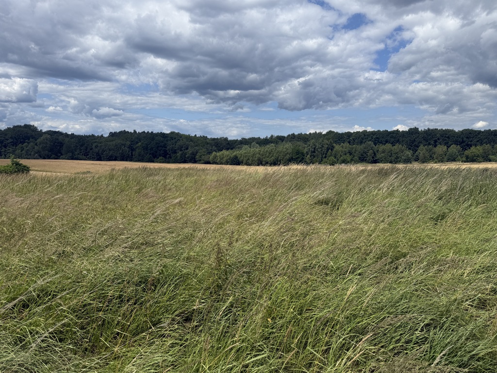 Działka na sprzedaż Przęsocin 1 700 m2 | Arka Nieruchomości