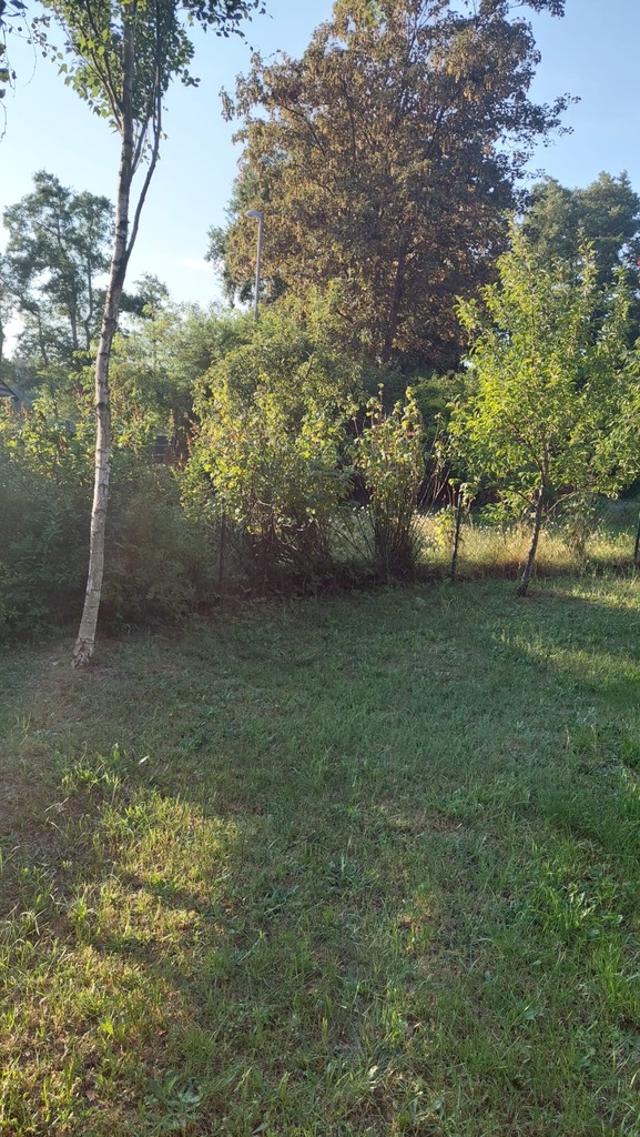 Dom na sprzedaż Stolec 20 m2 | Arka Nieruchomości