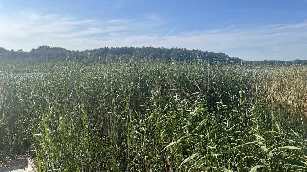 Dom na sprzedaż Stolec 20 m2 | Arka Nieruchomości