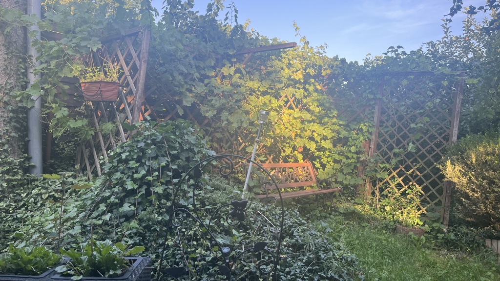 Dom na sprzedaż Stolec 20 m2 | Arka Nieruchomości
