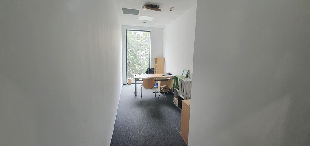 Lokal na wynajem Szczecin, Centrum 150 m2 | Arka Nieruchomości