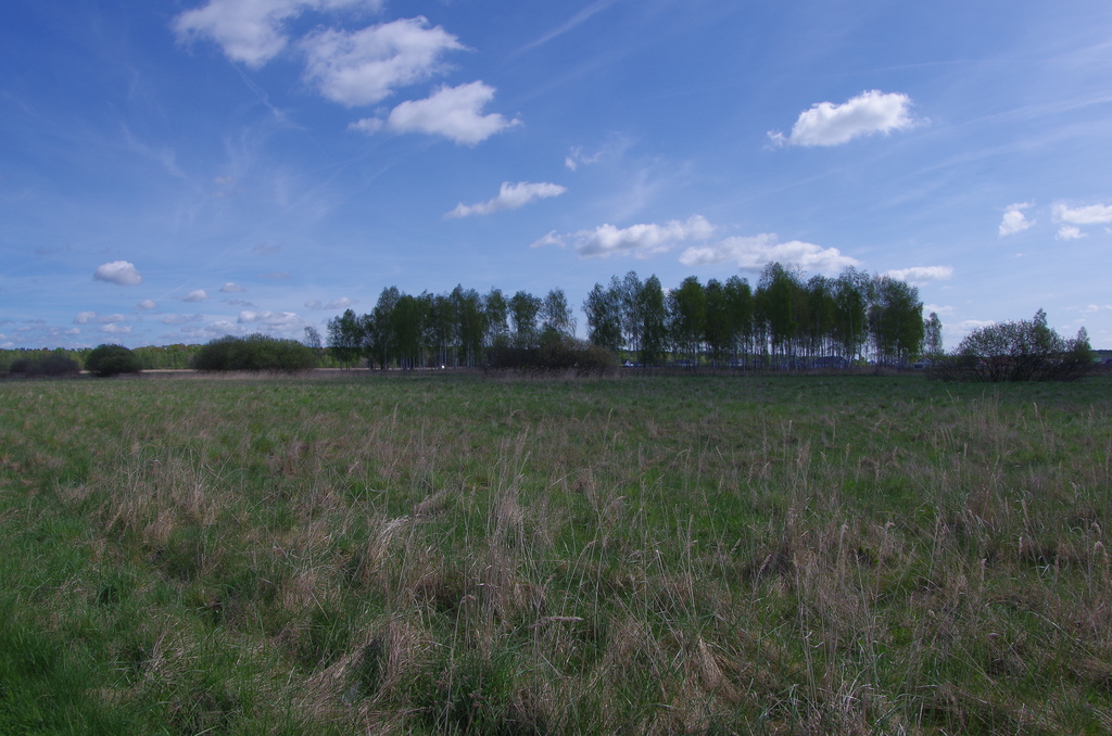 Działka na sprzedaż Niedźwiedź 3 260 m2 | Arka Nieruchomości