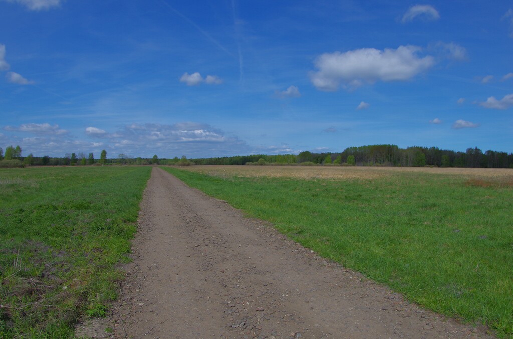 Działka na sprzedaż Niedźwiedź 3 260 m2 | Arka Nieruchomości