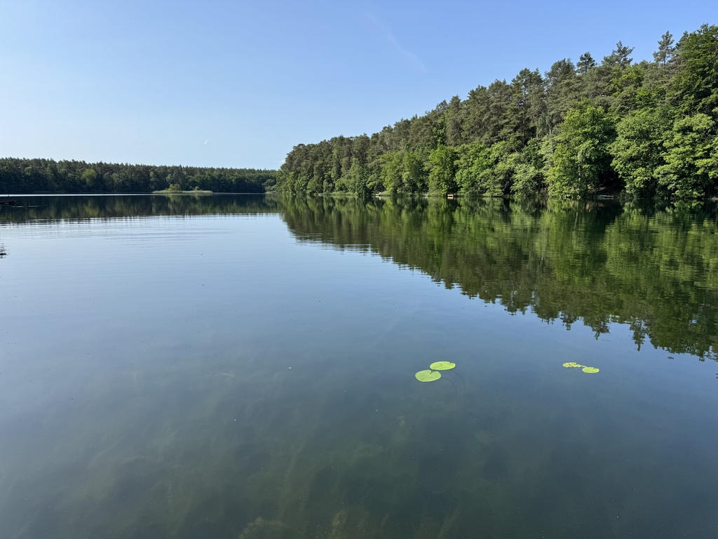 Obiekt na sprzedaż Danków 5 279 m2 | Arka Nieruchomości