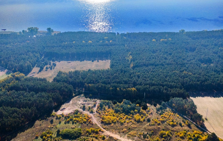 Działka na sprzedaż Dargobądz 6 000 m2 | Arka Nieruchomości
