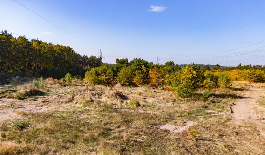 Działka na sprzedaż Dargobądz 6 000 m2 | Arka Nieruchomości