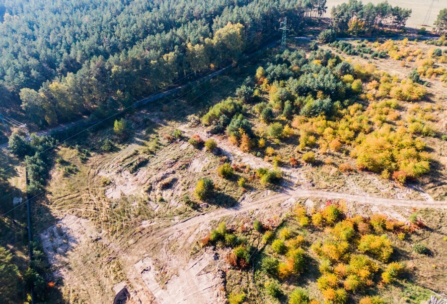 Działka na sprzedaż Dargobądz 3 000 m2 | Arka Nieruchomości