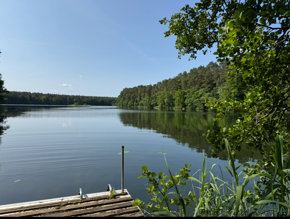 Obiekt na sprzedaż Danków 5 279 m2 | Arka Nieruchomości