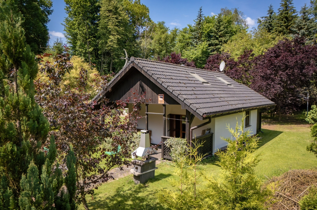 Obiekt na sprzedaż Danków 5 279 m2 | Arka Nieruchomości