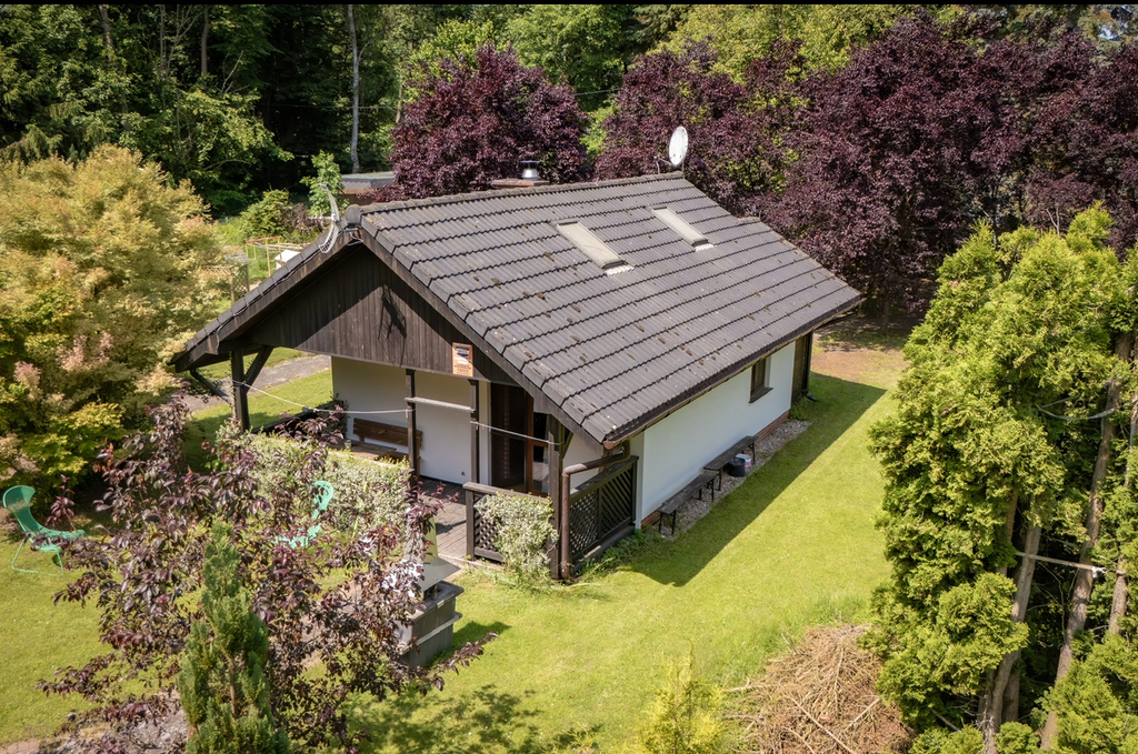 Obiekt na sprzedaż Danków 5 279 m2 | Arka Nieruchomości