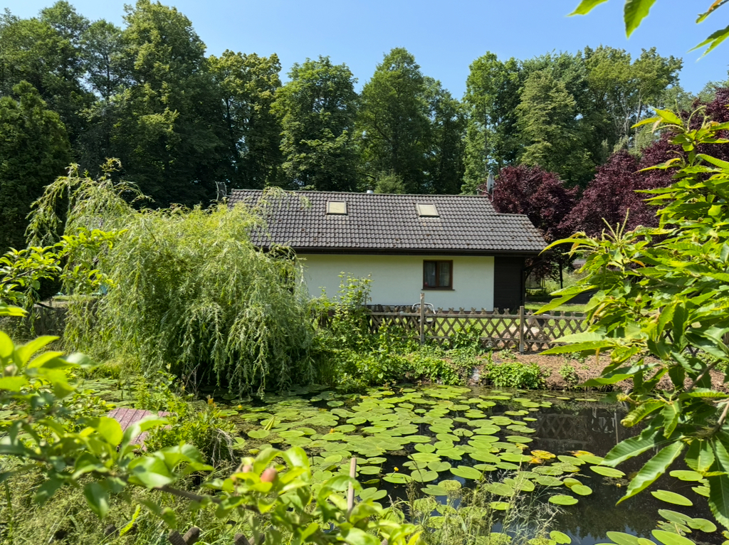 Obiekt na sprzedaż Danków 5 279 m2 | Arka Nieruchomości