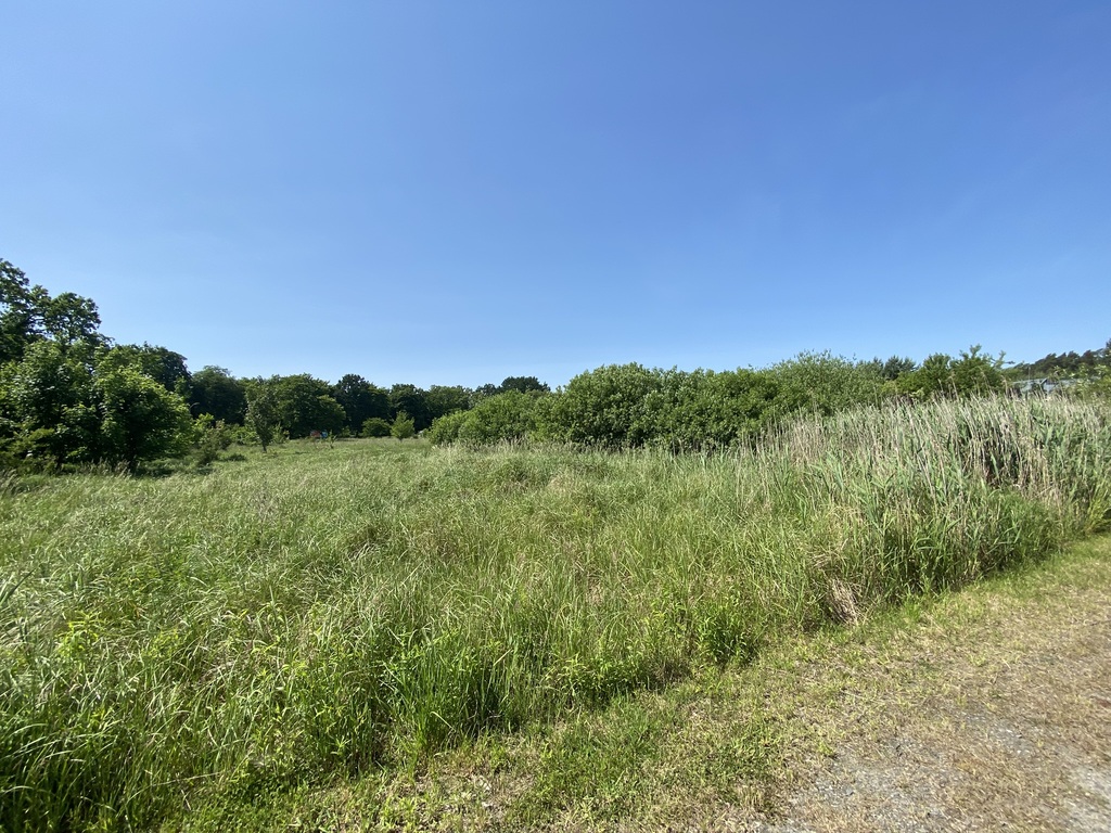 Działka na sprzedaż Kościno 1 079 m2 | Arka Nieruchomości