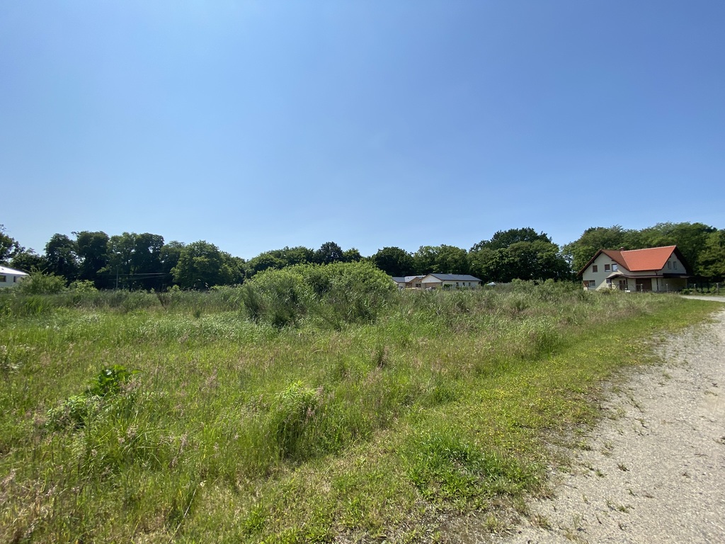 Działka na sprzedaż Kościno 12 300 m2 | Arka Nieruchomości