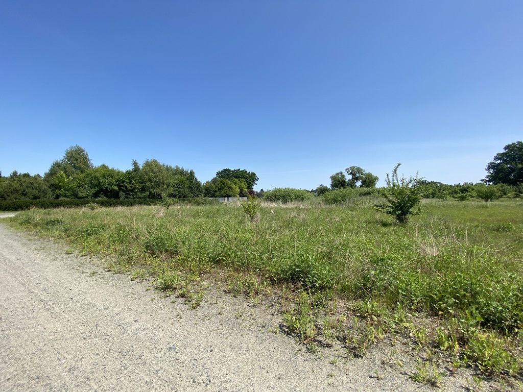 Działka na sprzedaż Kościno 12 300 m2 | Arka Nieruchomości