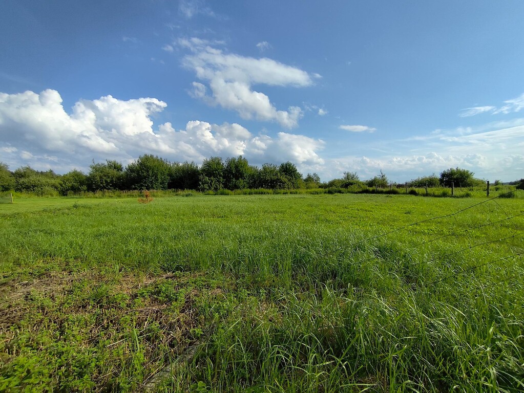 Działka na sprzedaż Żółwia Błoć 1 281 m2 | Arka Nieruchomości