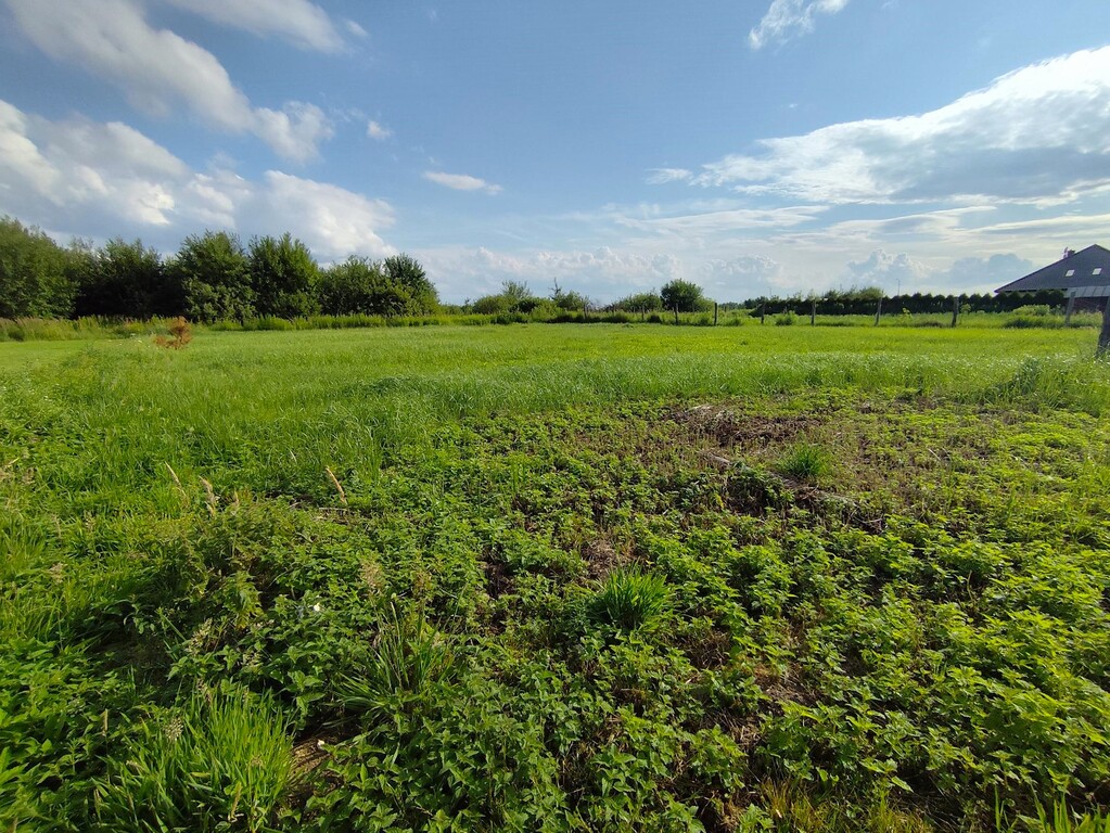 Działka na sprzedaż Żółwia Błoć 1 281 m2 | Arka Nieruchomości