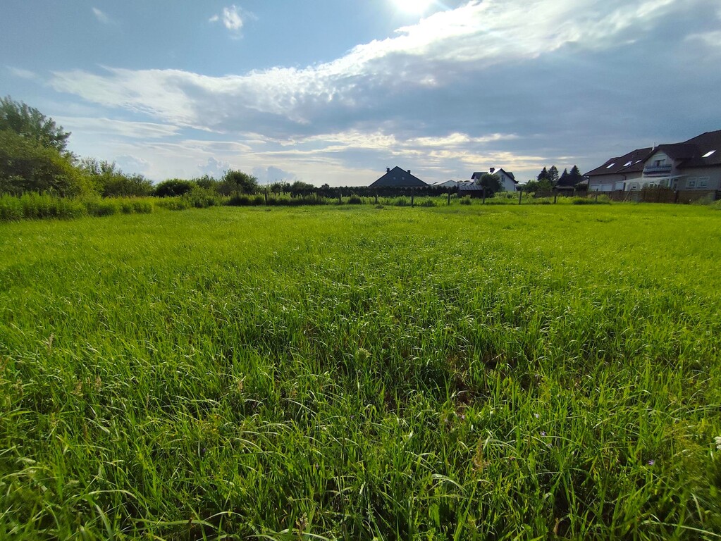 Działka na sprzedaż Żółwia Błoć 1 281 m2 | Arka Nieruchomości