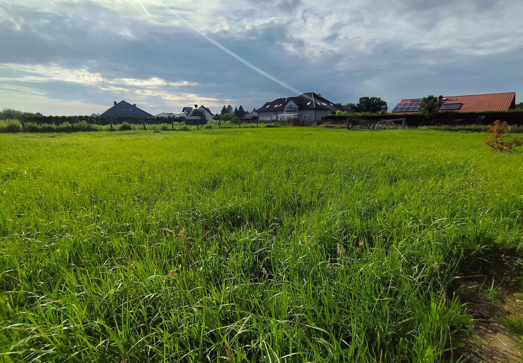 Działka na sprzedaż Żółwia Błoć 1 281 m2 | Arka Nieruchomości