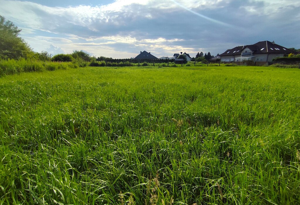 Działka na sprzedaż Żółwia Błoć 1 281 m2 | Arka Nieruchomości