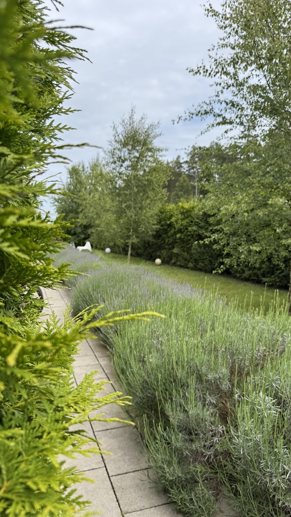 Obiekt na sprzedaż Grzybowo 450 m2 | Arka Nieruchomości